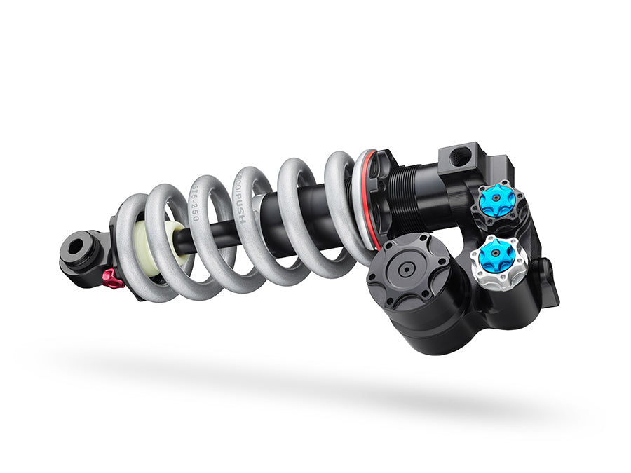 Transition sentinel coil 2025 shock